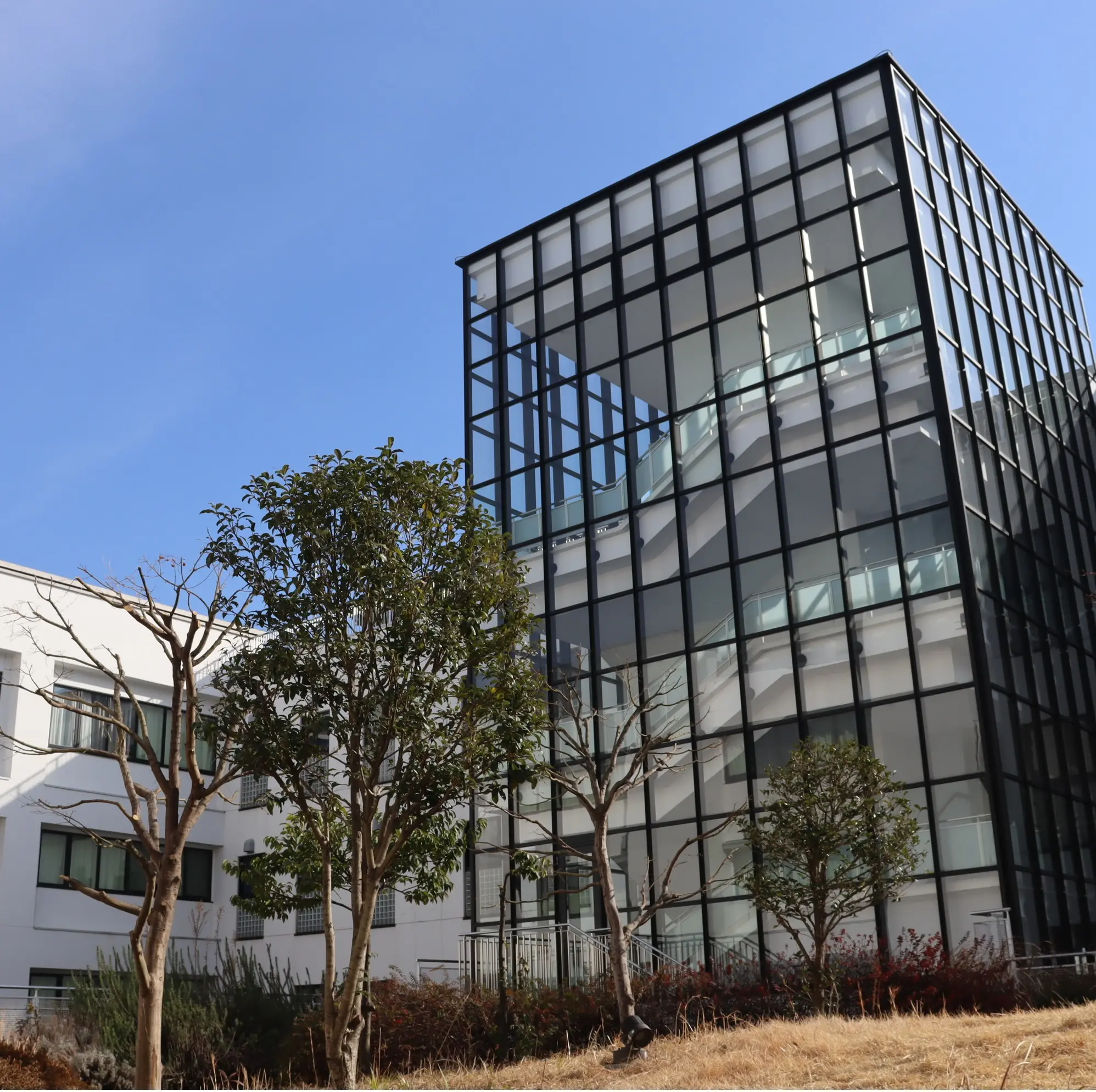 東京都立小金井工科高等学校の外観